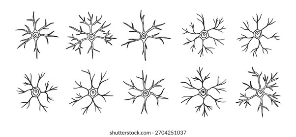 Las neuronas o células neuronales garabatean el conjunto de iconos dibujados a mano. Esquema de neuronas piramidales línea de dibujo Clipart símbolo colección. Ilustración vectorial