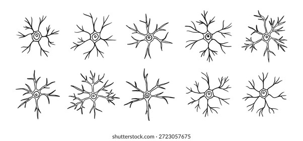 neurônios ou células de neurônios rabiscam o conjunto de ícones desenhados à mão. Contorno de neurônios piramidais desenho linha clipart coleção de símbolos. Ilustração vetorial