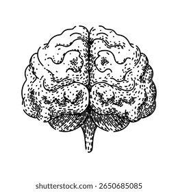 neuroplasticity brain hand drawn. perception consciousness, cerebrum cortex, neurotransmitter dopamine neuroplasticity brain vector sketch. isolated black illustration
