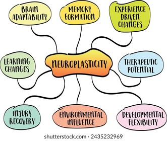 neuroplasticidad, la capacidad del cerebro de adaptarse y reorganizarse formando nuevas conexiones neuronales a lo largo de la vida, mapa mental, dibujo vectorial