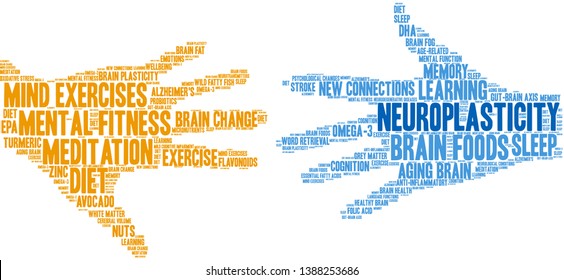 Neuroplasticity word cloud on a white background. 