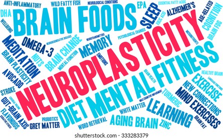 Neuroplasticity word cloud on a white background. 