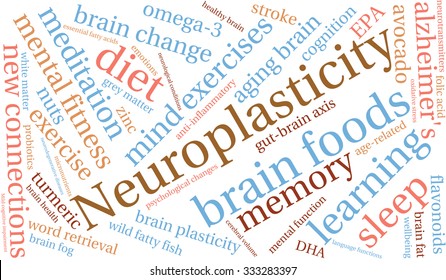 Neuroplasticity word cloud on a white background. 