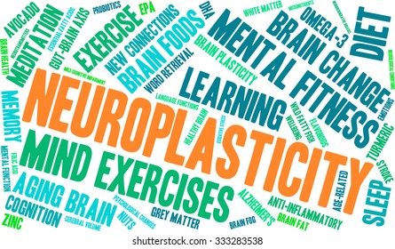 Neuroplasticity word cloud on a white background. 