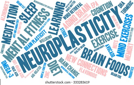 Neuroplasticity word cloud on a white background. 