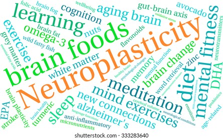 Neuroplasticity word cloud on a white background. 