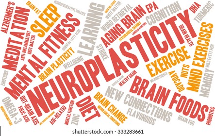 Neuroplasticity word cloud on a white background. 