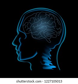 Neuroscience. Human brain vector