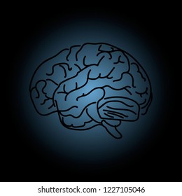 Neuroscience. Human brain vector