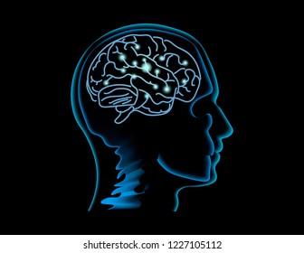 Neuroscience. Human Brain Vector