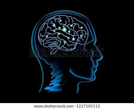 Neuroscience. Human brain vector