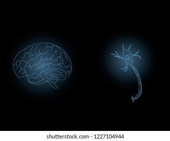Neuroscience. Human brain vector. Brain cell neuron