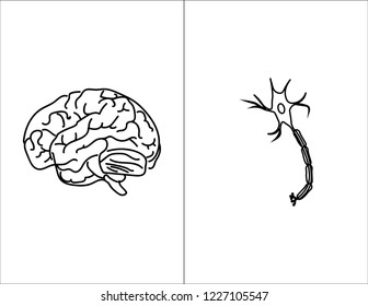 Neuroscience. Human brain vector. Brain cell neuron