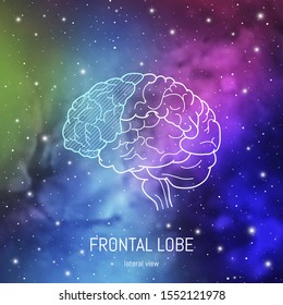 Neuroscience infographic on space background. Human brain lobes and sections illustration. Brain anatomy structure cross section. Neurobiology scientific medical vector in front of futuristic cosmos