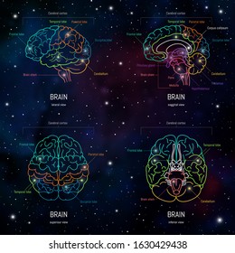 Neuroscience infographic on space background. Human brain lobes and functions illustration. Brain anatomy 
structure sections. Futuristic  neurobiology scientific medical vector.