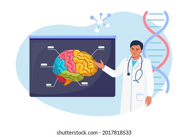 Neurocirujano, Neuroólogo examina el cerebro. El doctor señala en cartelera médica con cerebro humano. Médico o científico que enseña sobre el alzheimer, la demencia, la enfermedad mental, la neurología 