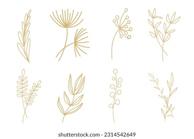 Neutral Beige Simple Minimalistic Floral Doodle line art  natural elements foe designs botanical plants, stem, buds vector set collection, oak tree, maple silhouette, palm, banana silhouette.