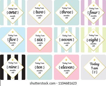 Neutral Milestone Card Baby Shower