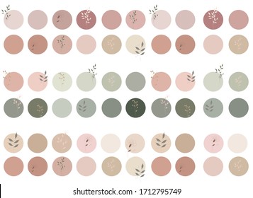 neutrals color palette and abstract flowers, procreate  swatches, workpiece icons. Highlights of Cover Stories.
