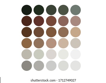 neutrals color palette, procreate  swatches. Highlights of Cover Stories.