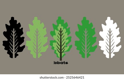 "Neutral" Vektorgrafik-Set Lobatblätter