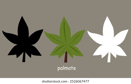 "Neutrals" Vector illustration set palmate leaves