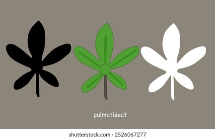 "Neutrals" Vector illustration set palmatisect leaves
