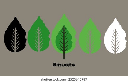 "Neutrals" Vector illustration set sinuate leaves