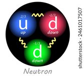 Neutron with one up quark, two down quarks, their charges and the forces between them. Vector illustration. Nuclear physics.