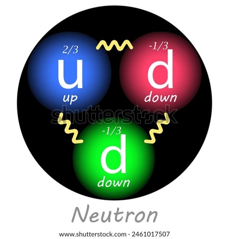 Neutron with one up quark, two down quarks, their charges and the forces between them. Vector illustration. Nuclear physics.