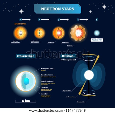 Neutron stars vector illustration. Educational labeled scheme with massive star stages to explosion. Cross section closeup with cosmic and space structure and titles. Planet rotation explanation.