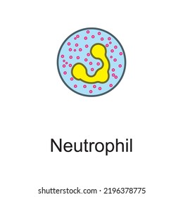 Neutrophil Cellular Schematic Structure Vector Illustration, Eps10 Icon