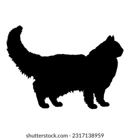 Neva Masquerade cat silhouette cat breeds vector