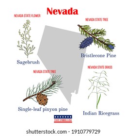 Nevada. Set of USA official state symbols. Vector hand drawn illustration