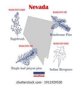 Nevada. Set of USA official state symbols. Vector hand drawn illustration