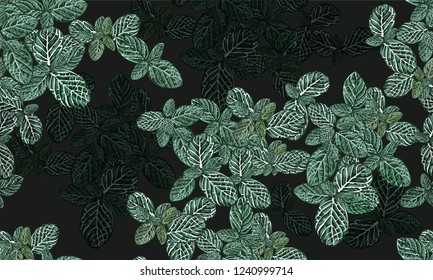 Never plant tropical seamless pattern