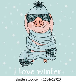 New 2019. Chinese year of the pig. A postcard with a funny pig in a knitted hat and a huge scarf. Colorful vector illustration in sketch style.