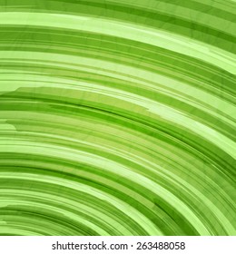 new abstract wallpaper with green field stripes over paper texture. vector background design