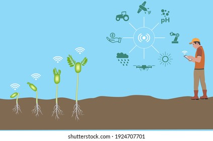 Neue landwirtschaftliche Kulturen. Mit intelligenten und modernen Anbaumethoden kontrolliert