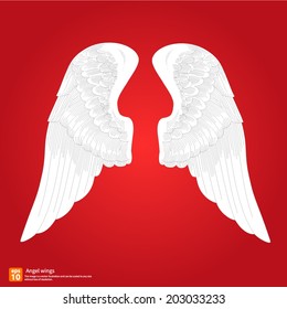 New angel wings vector design