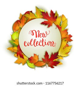 New autumn collection advertisement, brush pen handwritten text lettering on red leaves background, season arrival, vector illustration