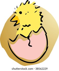 New baby chick emerging from broken egg