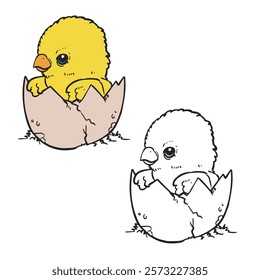 A New Baby Chicken Coming to This World. hatch. broken. shell. hand drawn. cartoon. simple design. vector illustrations