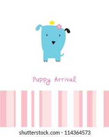 new baby puppy arrival