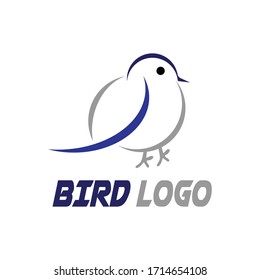 new bird animal logo design