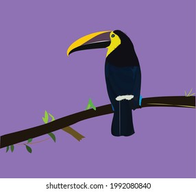 New Bird illustration designe vector