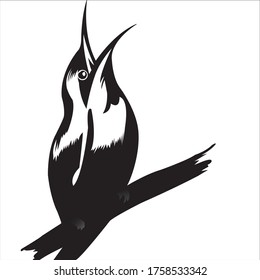 new bird vector design 2020