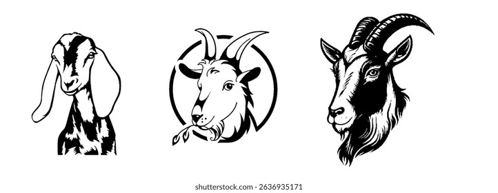 New Black Color Goat Sketch For Eid