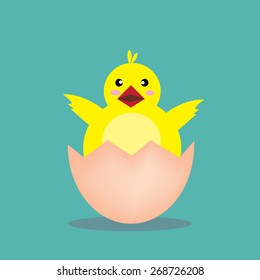 new born chicken  vector