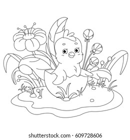 New Born Cute Chick - Coloring Page
